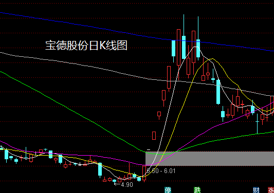 2024年12月6日 第5页