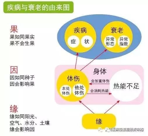 理论片大全最新,理论片大全最新，探索知识的深度与广度