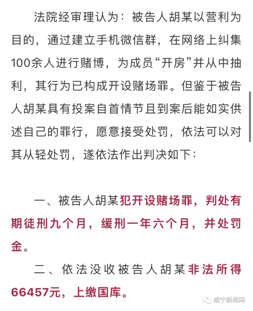 澳门正版资料彩霸王版,澳门正版资料彩霸王版，揭示背后的违法犯罪问题