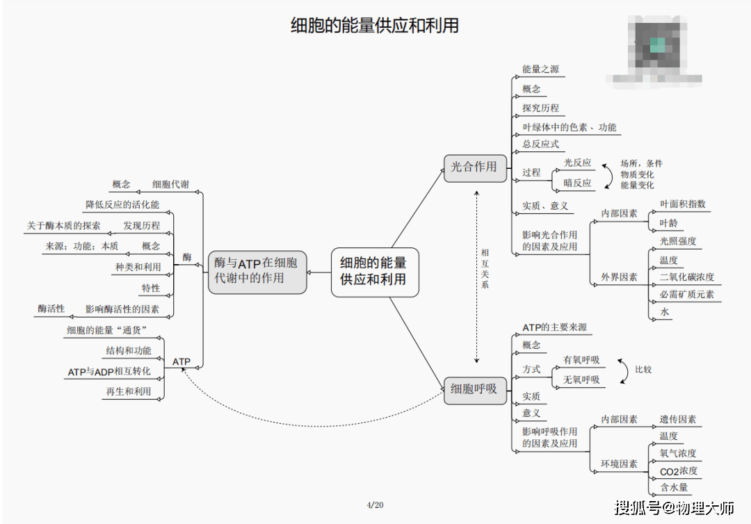 管家婆三肖三期必出一期MBA,管家婆三肖三期必出一期MBA，揭秘预测与策略