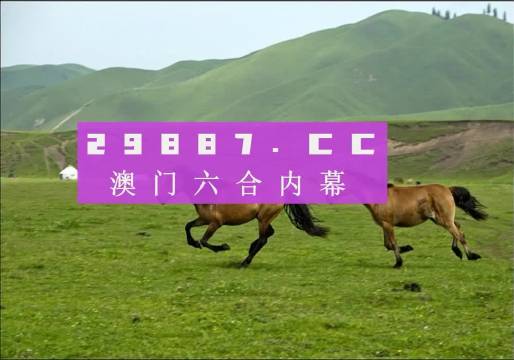 7777788888精准跑狗图正版,探索正版精准跑狗图，一场数字与智慧的交融之旅