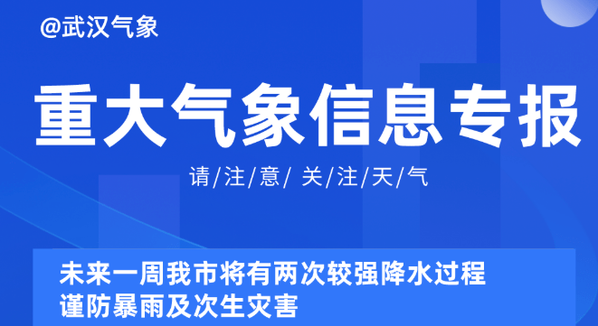 2025新奥资料免费精准051,探索未来，2025新奥资料的免费精准共享